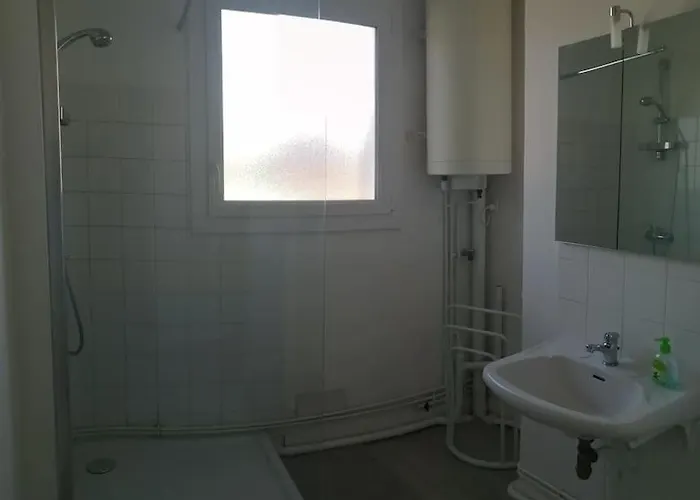 Apartment T1 Refait A Neuf